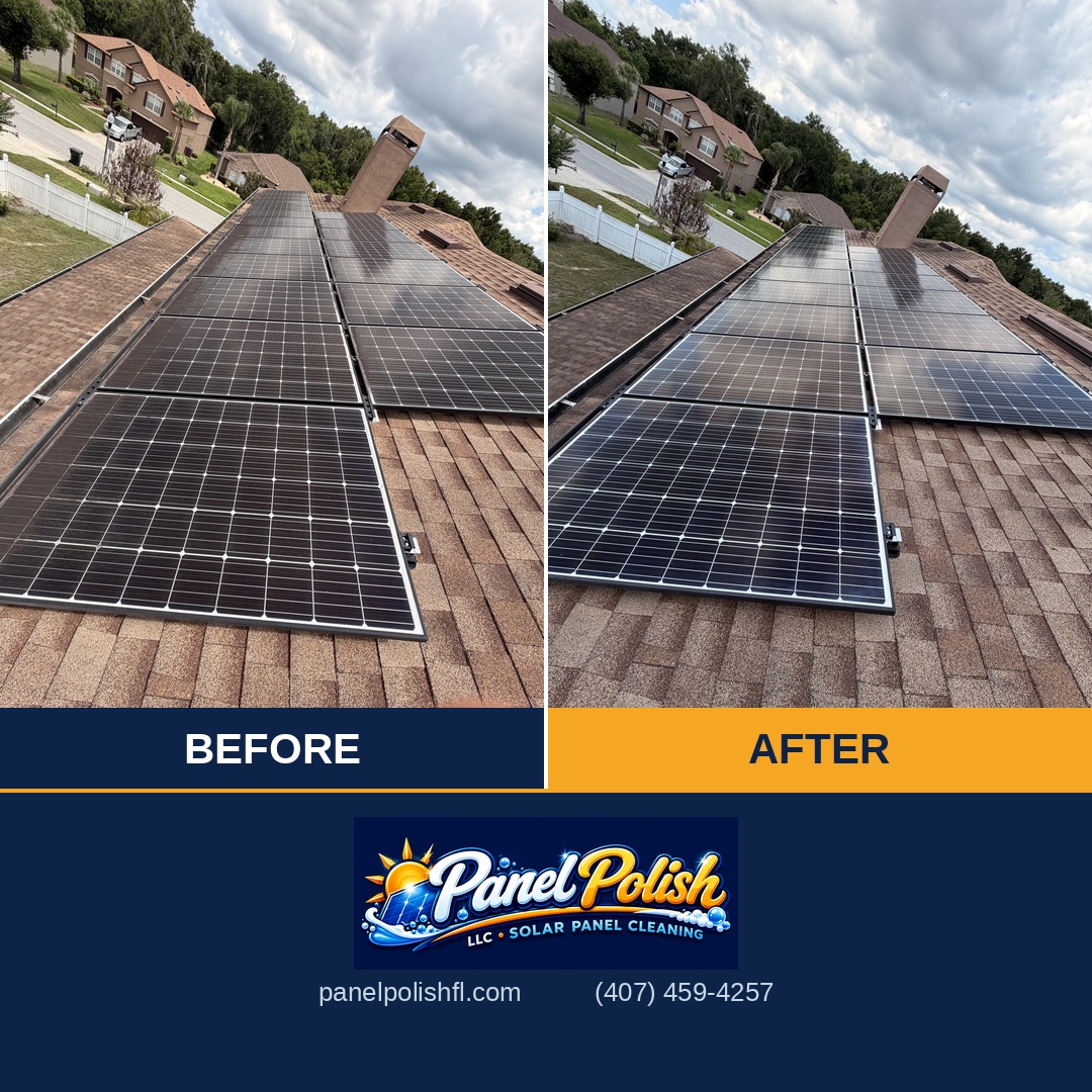Mold and algae removal from solar panels before and after