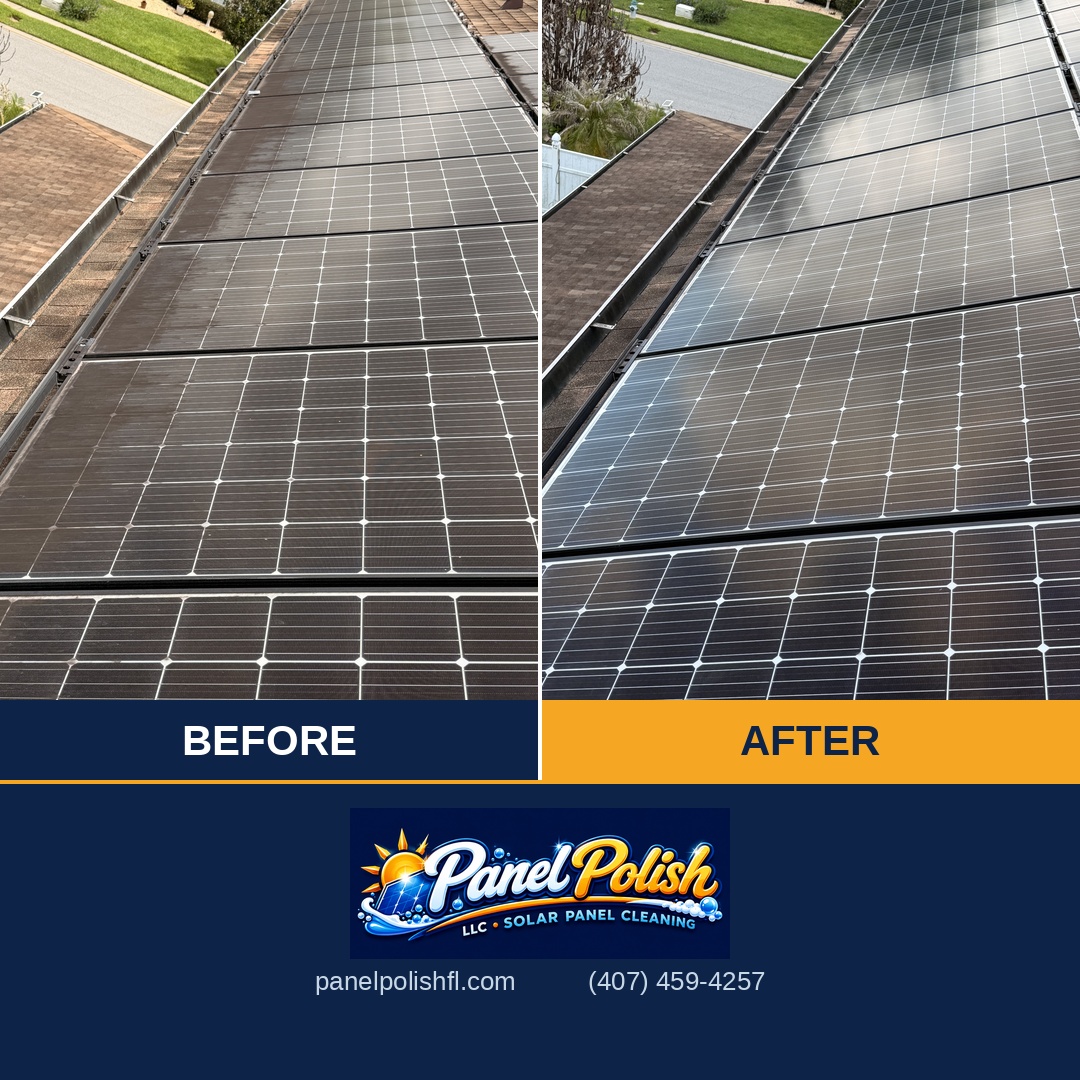 Mold and algae removal from solar panels before and after