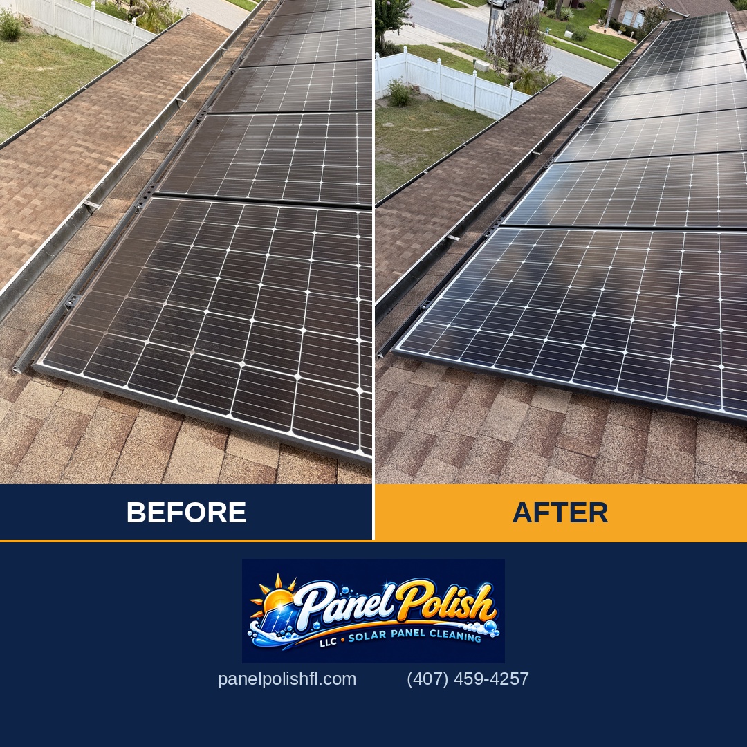 Mold and algae removal from solar panels before and after